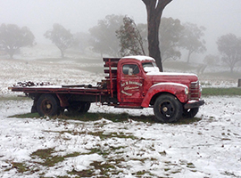 Old Truck (near Cargo)